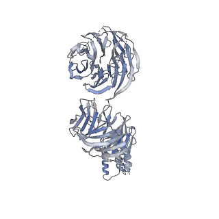 15954_8bbe_C_v1-1
Structure of the IFT-A complex; IFT-A2 module