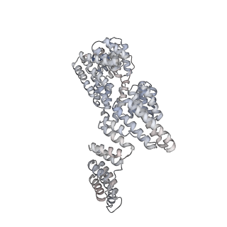 15954_8bbe_D_v1-1
Structure of the IFT-A complex; IFT-A2 module