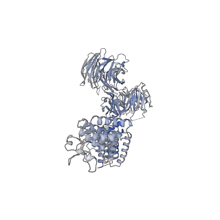 15954_8bbe_E_v1-1
Structure of the IFT-A complex; IFT-A2 module