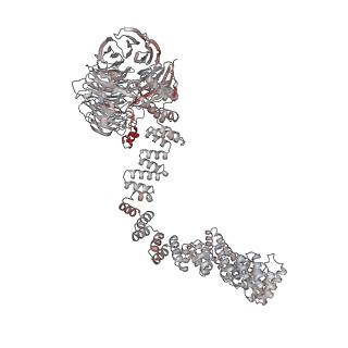 4304_8bbg_B_v1-1
Structure of the IFT-A complex; anterograde IFT-A train model