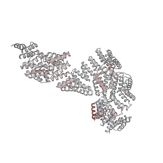 4304_8bbg_D_v1-1
Structure of the IFT-A complex; anterograde IFT-A train model