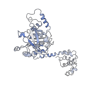 7076_6bbm_A_v1-4
Mechanisms of Opening and Closing of the Bacterial Replicative Helicase: The DnaB Helicase and Lambda P Helicase Loader Complex