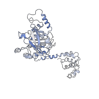 7076_6bbm_A_v1-5
Mechanisms of Opening and Closing of the Bacterial Replicative Helicase: The DnaB Helicase and Lambda P Helicase Loader Complex