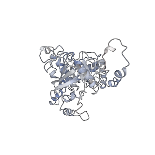 7076_6bbm_B_v1-4
Mechanisms of Opening and Closing of the Bacterial Replicative Helicase: The DnaB Helicase and Lambda P Helicase Loader Complex