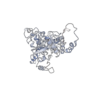 7076_6bbm_B_v1-5
Mechanisms of Opening and Closing of the Bacterial Replicative Helicase: The DnaB Helicase and Lambda P Helicase Loader Complex