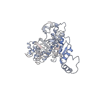 7076_6bbm_C_v1-4
Mechanisms of Opening and Closing of the Bacterial Replicative Helicase: The DnaB Helicase and Lambda P Helicase Loader Complex