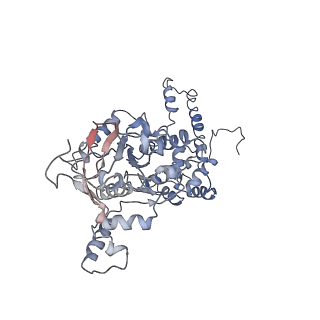 7076_6bbm_D_v1-4
Mechanisms of Opening and Closing of the Bacterial Replicative Helicase: The DnaB Helicase and Lambda P Helicase Loader Complex