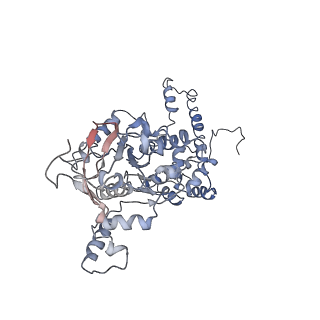 7076_6bbm_D_v1-5
Mechanisms of Opening and Closing of the Bacterial Replicative Helicase: The DnaB Helicase and Lambda P Helicase Loader Complex