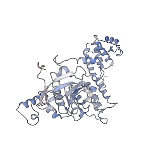 7076_6bbm_E_v1-4
Mechanisms of Opening and Closing of the Bacterial Replicative Helicase: The DnaB Helicase and Lambda P Helicase Loader Complex