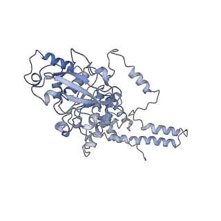 7076_6bbm_F_v1-4
Mechanisms of Opening and Closing of the Bacterial Replicative Helicase: The DnaB Helicase and Lambda P Helicase Loader Complex