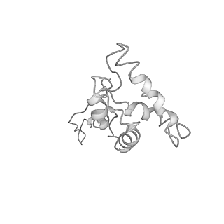 7076_6bbm_X_v1-4
Mechanisms of Opening and Closing of the Bacterial Replicative Helicase: The DnaB Helicase and Lambda P Helicase Loader Complex