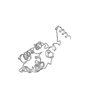 7076_6bbm_Z_v1-5
Mechanisms of Opening and Closing of the Bacterial Replicative Helicase: The DnaB Helicase and Lambda P Helicase Loader Complex