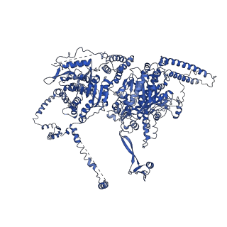 12138_7bc4_A_v1-0
Cryo-EM structure of fatty acid synthase (FAS) from Pichia pastoris