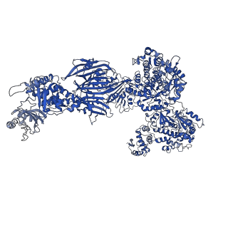 12138_7bc4_B_v1-0
Cryo-EM structure of fatty acid synthase (FAS) from Pichia pastoris
