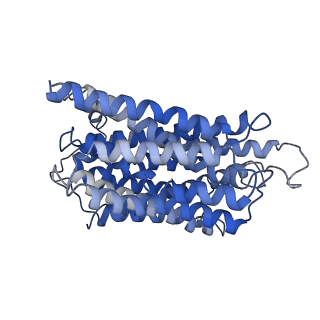 12140_7bc6_A_v1-4
Cryo-EM structure of the outward open proton coupled folate transporter at pH 7.5