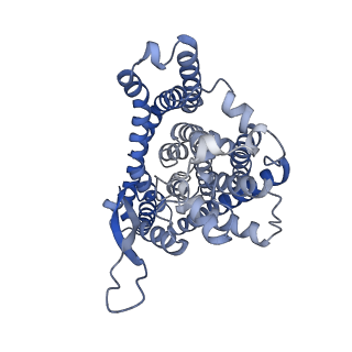 12142_7bcq_A_v1-1
ASCT2 in the presence of the inhibitor Lc-BPE (position "up") in the outward-open conformation.