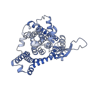 12142_7bcq_C_v1-1
ASCT2 in the presence of the inhibitor Lc-BPE (position "up") in the outward-open conformation.