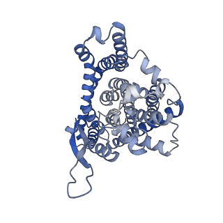 12142_7bcs_A_v1-0
ASCT2 in the presence of the inhibitor Lc-BPE (position "down") in the outward-open conformation.