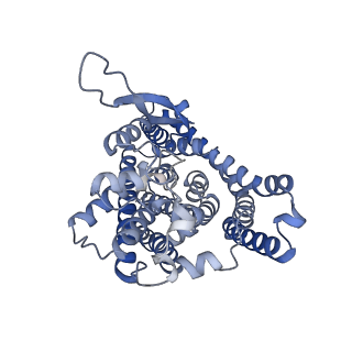 12142_7bcs_B_v1-0
ASCT2 in the presence of the inhibitor Lc-BPE (position "down") in the outward-open conformation.