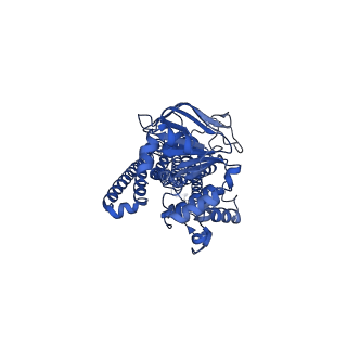 12145_7bcw_B_v1-2
Structure of MsbA in Salipro with ADP vanadate