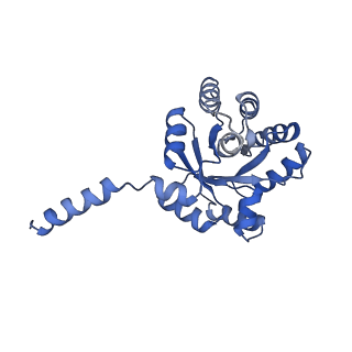 15960_8bc2_C_v1-3
Ligand-Free Structure of the decameric sulfofructose transaldolase BmSF-TAL