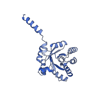 15960_8bc2_D_v1-3
Ligand-Free Structure of the decameric sulfofructose transaldolase BmSF-TAL