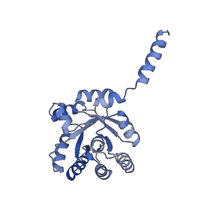 15960_8bc2_E_v1-3
Ligand-Free Structure of the decameric sulfofructose transaldolase BmSF-TAL