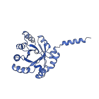 15960_8bc2_F_v1-3
Ligand-Free Structure of the decameric sulfofructose transaldolase BmSF-TAL