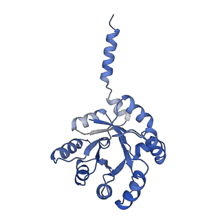 15960_8bc2_G_v1-3
Ligand-Free Structure of the decameric sulfofructose transaldolase BmSF-TAL
