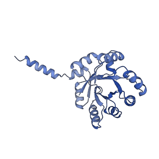 15960_8bc2_H_v1-3
Ligand-Free Structure of the decameric sulfofructose transaldolase BmSF-TAL