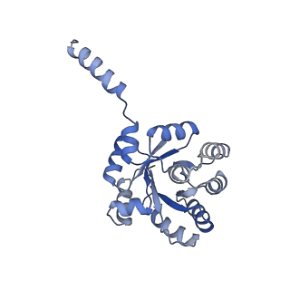 15962_8bc4_A_v1-3
Cryo-EM Structure of a BmSF-TAL - Sulfofructose Schiff Base Complex in symmetry group C1