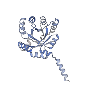 15962_8bc4_B_v1-3
Cryo-EM Structure of a BmSF-TAL - Sulfofructose Schiff Base Complex in symmetry group C1