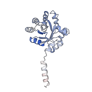 15962_8bc4_E_v1-3
Cryo-EM Structure of a BmSF-TAL - Sulfofructose Schiff Base Complex in symmetry group C1