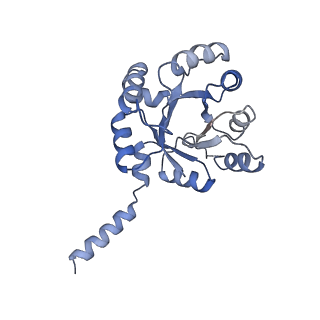 15962_8bc4_H_v1-3
Cryo-EM Structure of a BmSF-TAL - Sulfofructose Schiff Base Complex in symmetry group C1