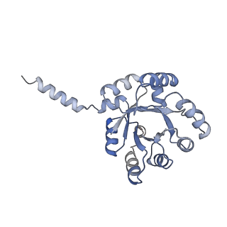 15962_8bc4_J_v1-3
Cryo-EM Structure of a BmSF-TAL - Sulfofructose Schiff Base Complex in symmetry group C1