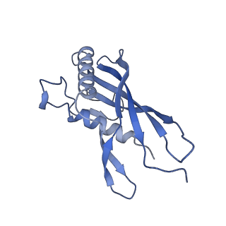 15967_8bcp_A_v1-0
Cryo-EM structure of the proximal end of bacteriophage T5 tail : p142 tail terminator protein hexamer and pb6 tail tube protein trimer