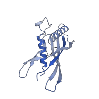 15967_8bcp_B_v1-0
Cryo-EM structure of the proximal end of bacteriophage T5 tail : p142 tail terminator protein hexamer and pb6 tail tube protein trimer