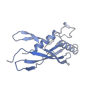 15967_8bcp_C_v1-0
Cryo-EM structure of the proximal end of bacteriophage T5 tail : p142 tail terminator protein hexamer and pb6 tail tube protein trimer