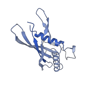 15967_8bcp_D_v1-0
Cryo-EM structure of the proximal end of bacteriophage T5 tail : p142 tail terminator protein hexamer and pb6 tail tube protein trimer