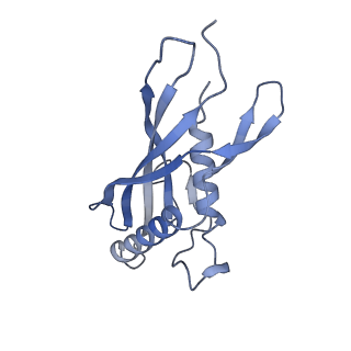 15967_8bcp_E_v1-0
Cryo-EM structure of the proximal end of bacteriophage T5 tail : p142 tail terminator protein hexamer and pb6 tail tube protein trimer