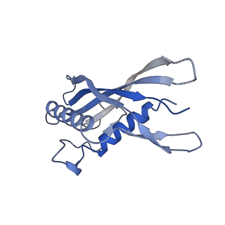 15967_8bcp_F_v1-0
Cryo-EM structure of the proximal end of bacteriophage T5 tail : p142 tail terminator protein hexamer and pb6 tail tube protein trimer