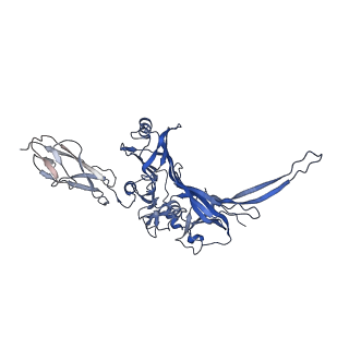 15967_8bcp_G_v1-0
Cryo-EM structure of the proximal end of bacteriophage T5 tail : p142 tail terminator protein hexamer and pb6 tail tube protein trimer