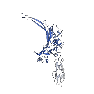 15967_8bcp_I_v1-0
Cryo-EM structure of the proximal end of bacteriophage T5 tail : p142 tail terminator protein hexamer and pb6 tail tube protein trimer