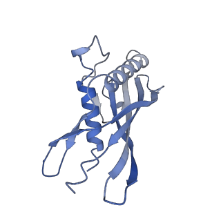 15968_8bcu_B_v1-0
Cryo-EM structure of the proximal end of bacteriophage T5 tail, after interaction with its receptor : p142 tail terminator protein hexamer and pb6 tail tube protein trimer