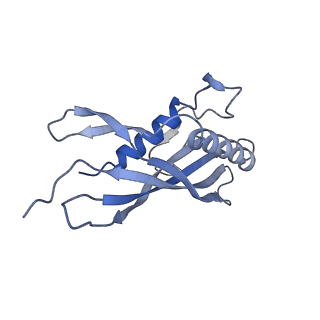 15968_8bcu_C_v1-0
Cryo-EM structure of the proximal end of bacteriophage T5 tail, after interaction with its receptor : p142 tail terminator protein hexamer and pb6 tail tube protein trimer