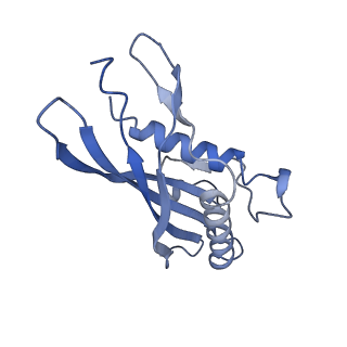 15968_8bcu_D_v1-0
Cryo-EM structure of the proximal end of bacteriophage T5 tail, after interaction with its receptor : p142 tail terminator protein hexamer and pb6 tail tube protein trimer