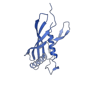 15968_8bcu_E_v1-0
Cryo-EM structure of the proximal end of bacteriophage T5 tail, after interaction with its receptor : p142 tail terminator protein hexamer and pb6 tail tube protein trimer