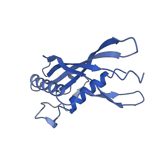 15968_8bcu_F_v1-0
Cryo-EM structure of the proximal end of bacteriophage T5 tail, after interaction with its receptor : p142 tail terminator protein hexamer and pb6 tail tube protein trimer