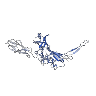 15968_8bcu_G_v1-0
Cryo-EM structure of the proximal end of bacteriophage T5 tail, after interaction with its receptor : p142 tail terminator protein hexamer and pb6 tail tube protein trimer