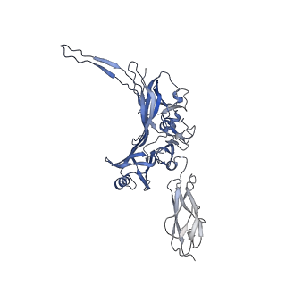 15968_8bcu_I_v1-0
Cryo-EM structure of the proximal end of bacteriophage T5 tail, after interaction with its receptor : p142 tail terminator protein hexamer and pb6 tail tube protein trimer